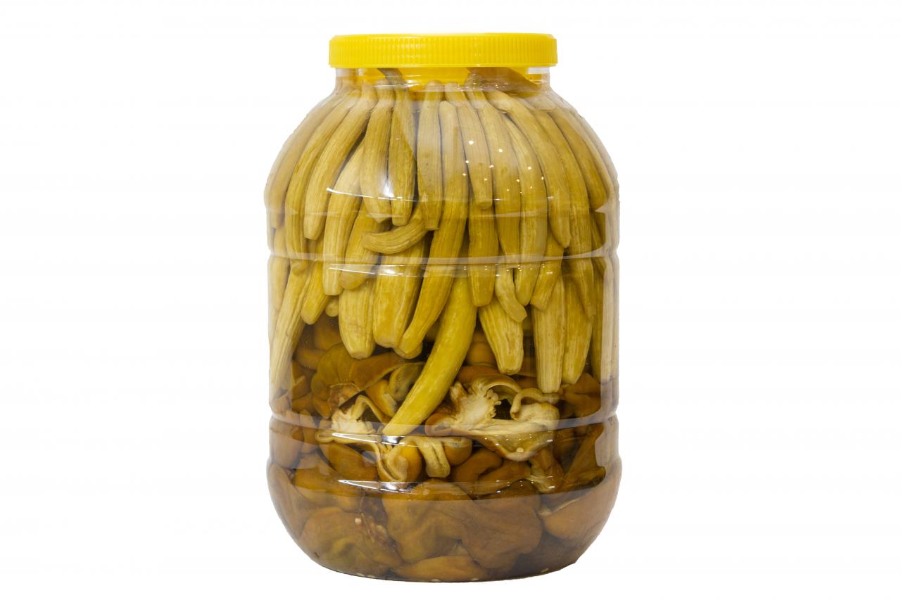 Sarı kapaklı plastik kavanoz klasik Antep turşusu dolu; üst kısımda sarımsı biberler, alt kısımda çeşitli mantarlar yer almakta. Arka plan düz beyaz bir yüzey.