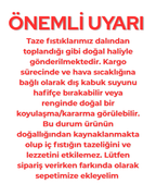 Taze Antep Ben Fıstık