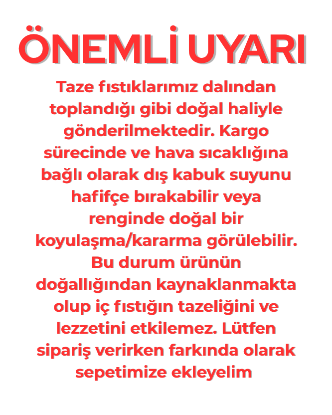 Taze Antep Ben Fıstık