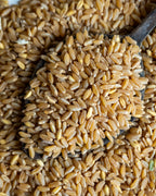 Paketli aşurelik buğday sunumu, aşure ve keşkek yapımı için kullanılan kabuğu soyulmuş bütün yarma buğday.
