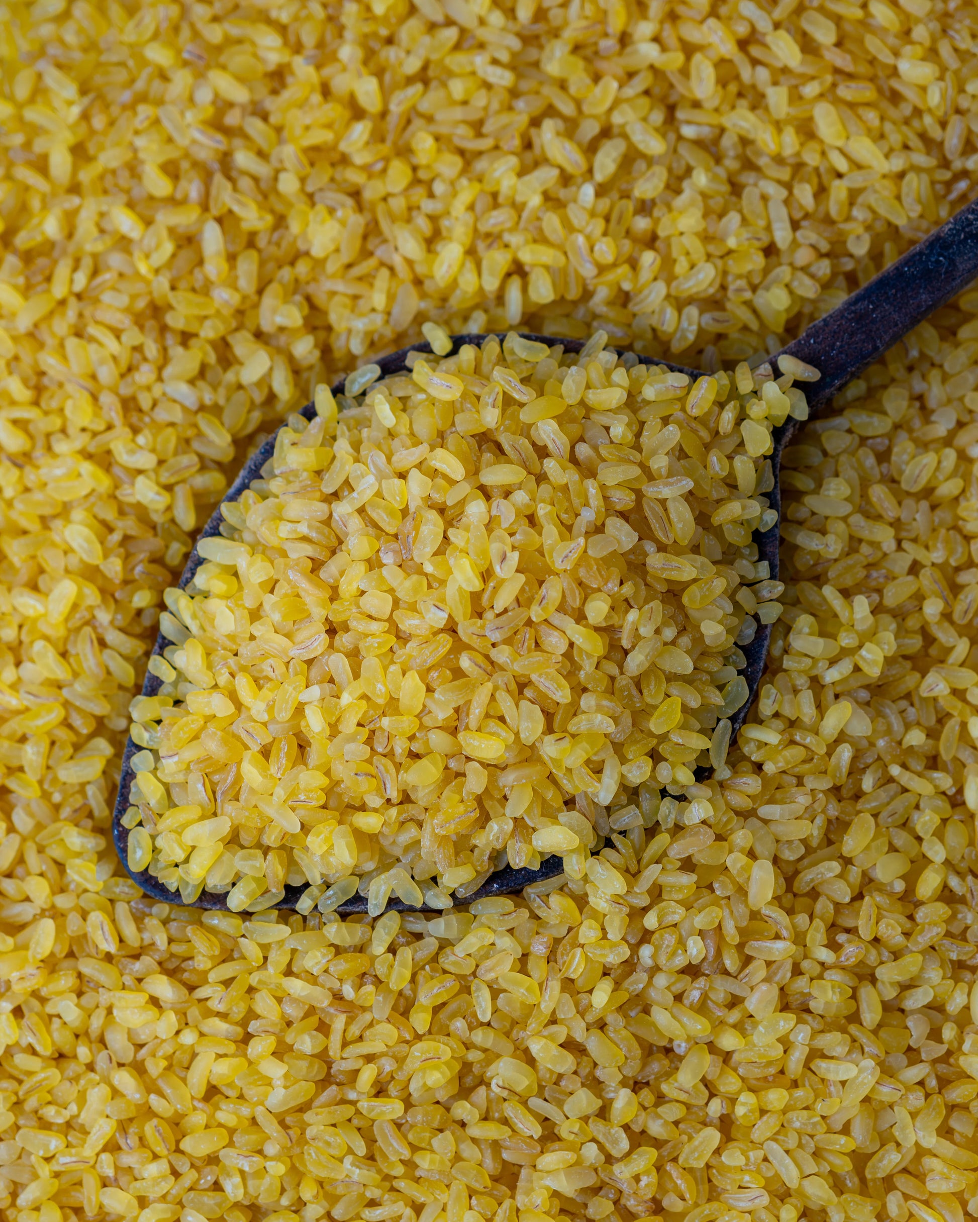 Yakından görünüm tahta kaşıkta sarı pilavlık bulgur, parlak altın rengi ve orta irilikte, domatesli pilav yapımı için doğal durum buğdayı.