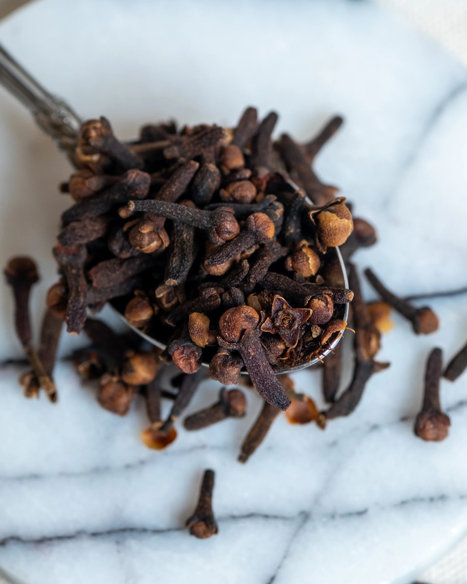 Tane karanfil yakın çekim, dolgun tomurcukları ve yoğun aromasıyla bilinen şifalı ve doğal baharat detayı.