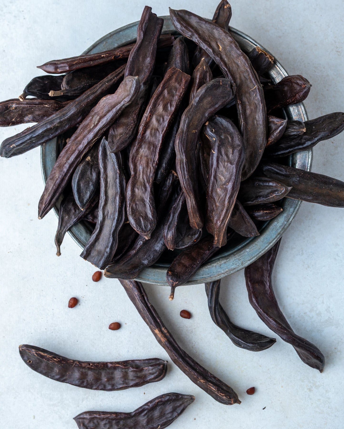 Yakından görünüm bütün keçiboynuzu, koyu kahverengi parlak yüzeyli, akciğer dostu ve doğal enerji kaynağı olarak bilinen etli harnup.