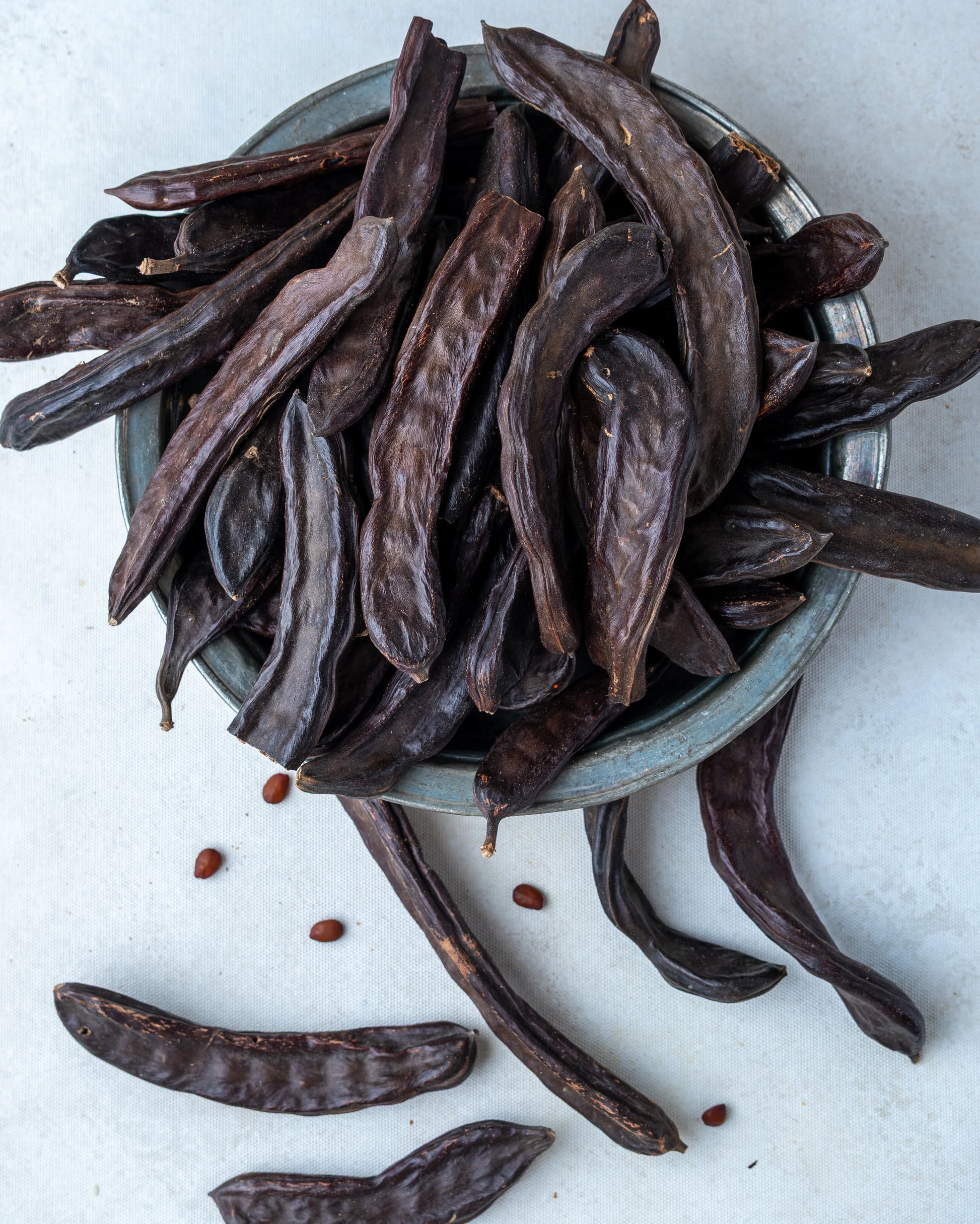 Yakından görünüm bütün keçiboynuzu, koyu kahverengi parlak yüzeyli, akciğer dostu ve doğal enerji kaynağı olarak bilinen etli harnup.