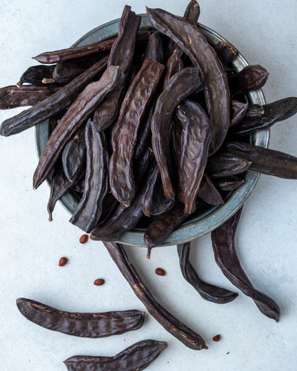 Yakından görünüm bütün keçiboynuzu, koyu kahverengi parlak yüzeyli, akciğer dostu ve doğal enerji kaynağı olarak bilinen etli harnup.