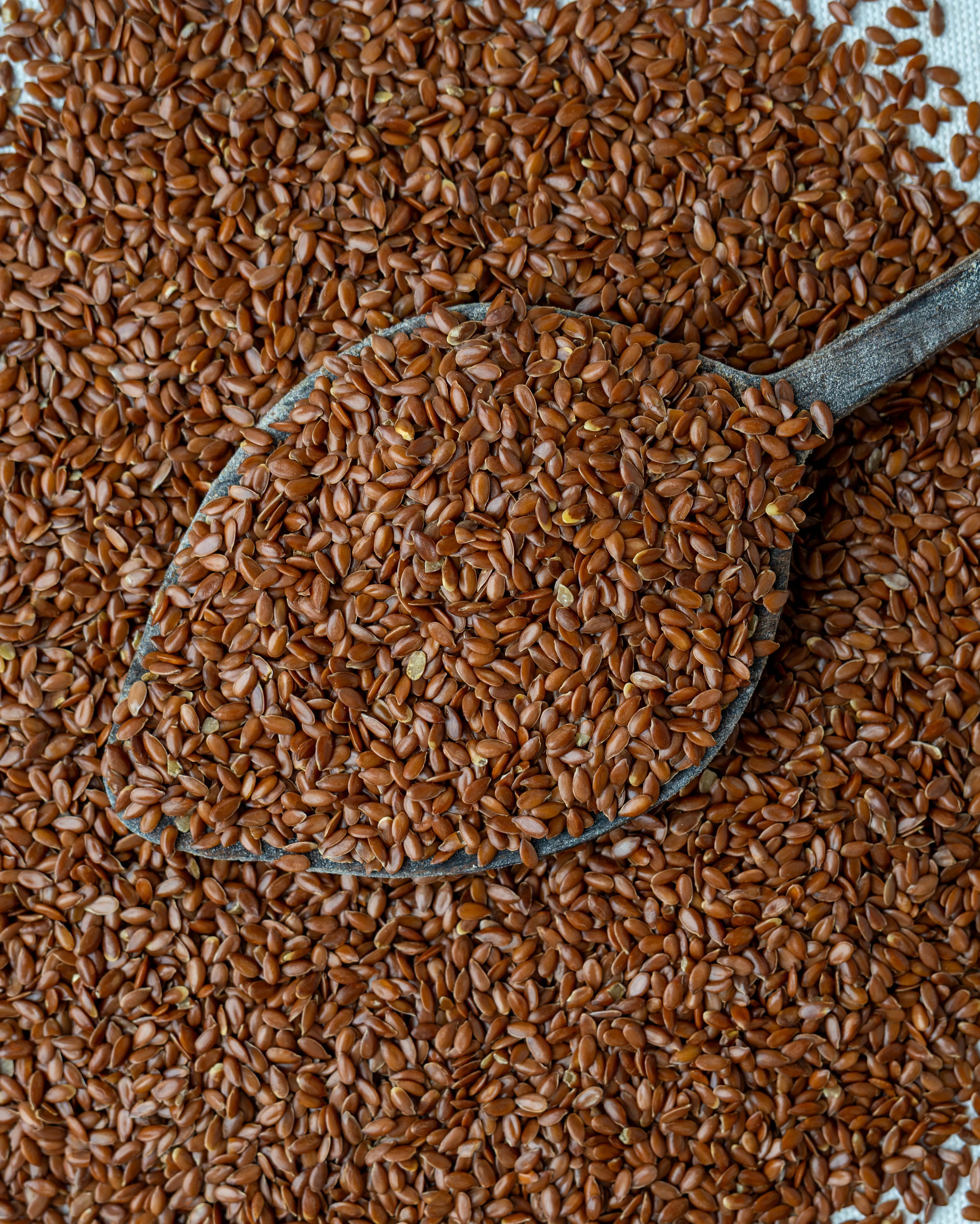 Yakından görünüm tahta kaşıkta keten tohumu, parlak kızıl kahve renkli ve bütün taneli, sindirim ve diyet için kullanılan doğal bitkisel omega 3.