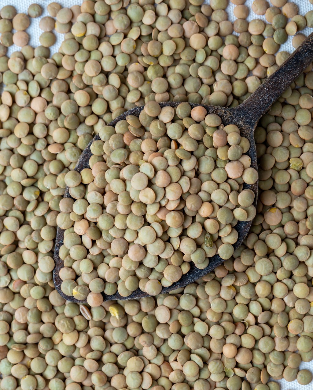 Yakından görünüm tahta kaşıkta yeşil mercimek, haki ve zeytin yeşili renkli, protein deposu ve ince kabuklu doğal yerli mercimek.